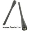 anten GP-368 Plus