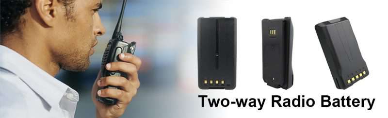 htb12lljkessbunjy0flq6zbpvxae 800x243 1