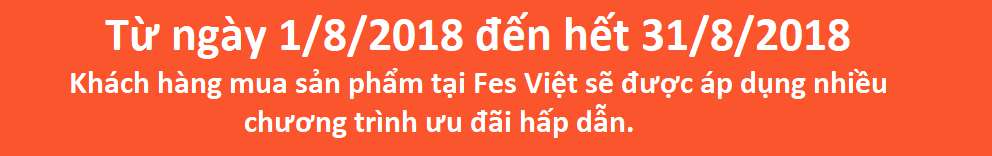 khuyen20mai20thang20820fesviet