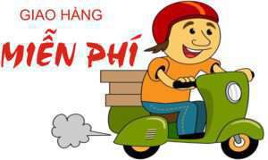 mie1bb85n20phc3ad20ve1baadn20chuye1bb83n
