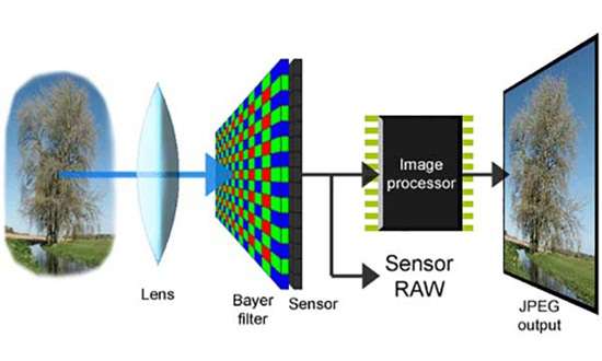 tim-hieu-ve-image-sensor-cam-bien-hinh-anh-trong-camera-giam-sat-1 tim hieu ve image sensor cam bien hinh anh trong camera giam sat 1